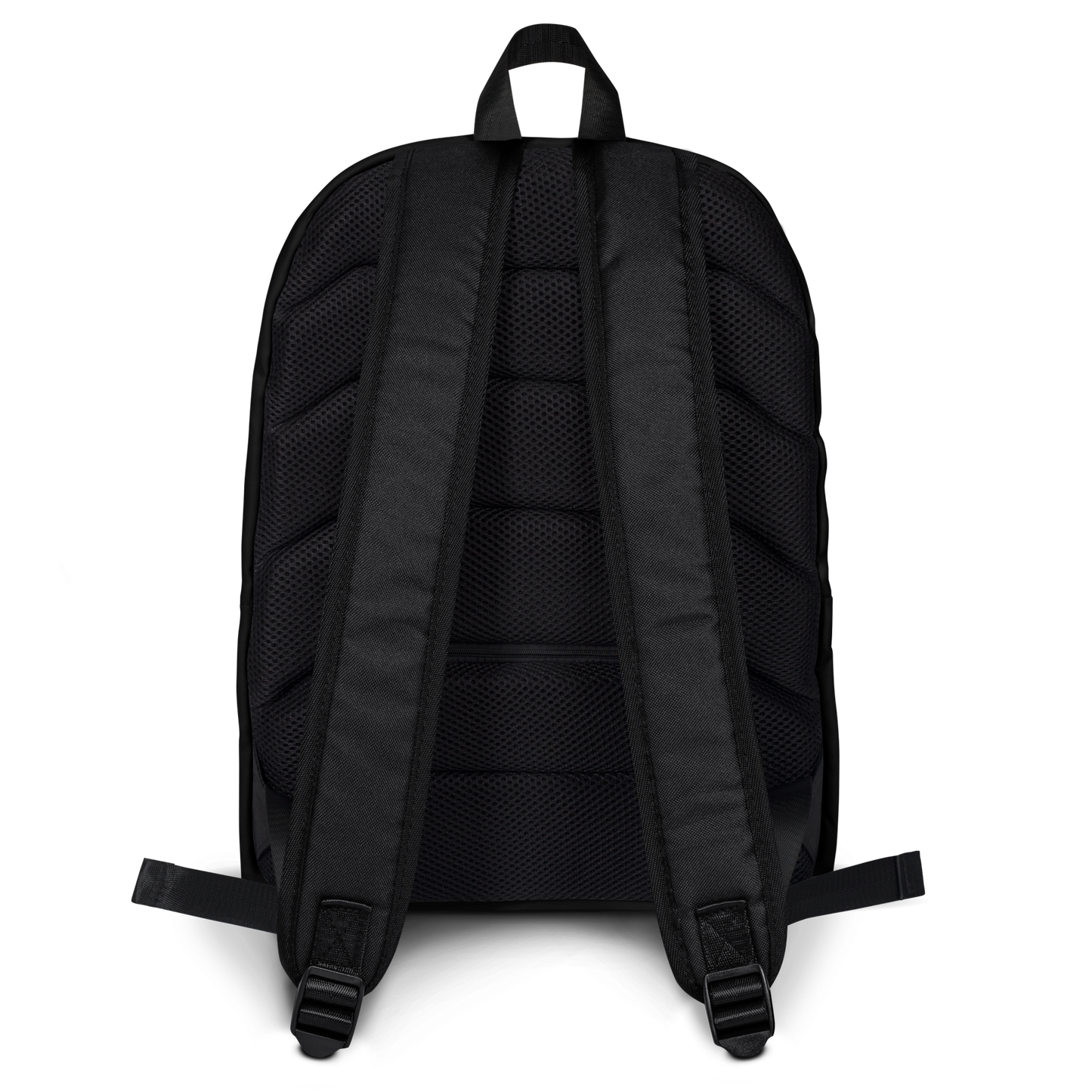 Black backpack shown from the back on a white background